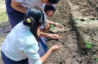 ¡MINGA COMUNAL POR ESCUELAS SOSTENIBLES!