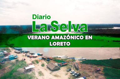 (Sin título)