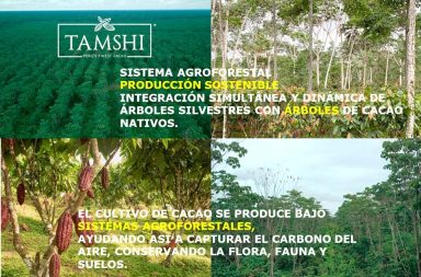 Inician audiencia de extinción de dominio contra TAMSHI en medio de cuestionamientos