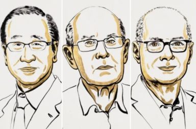 Premio Nobel de Química 2025