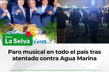 “Vamos a apagar la música por dos semanas”, anuncian músicos
