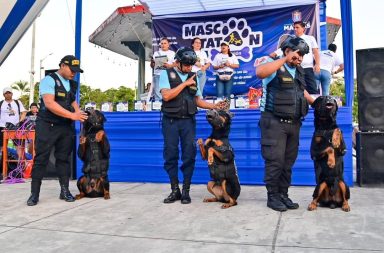 Felicitaciones a los ganadores de la 3ª edición del Mascotatón