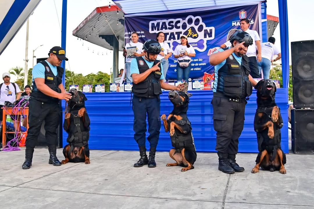 Felicitaciones a los ganadores de la 3ª edición del Mascotatón