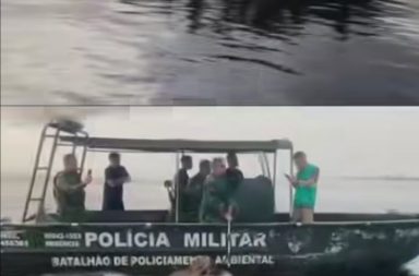 Rescatan a un jaguar herido a la deriva en el río Negro, en el Amazonas