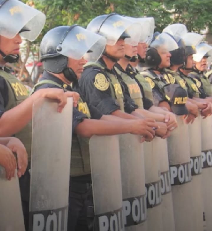 Proyecto propone sanciones para policías que agredan a sus parejas