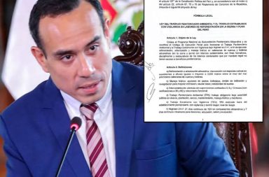 Presidente Jerí propone que internos participen en programas de reforestación altoandina