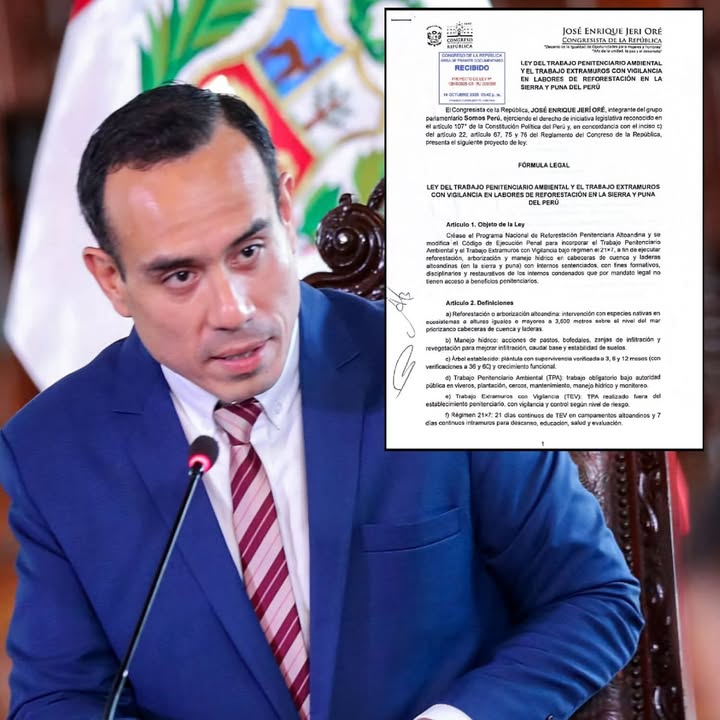 Presidente Jerí propone que internos participen en programas de reforestación altoandina