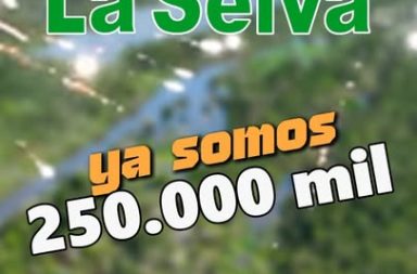 Sin ustedes no sería posible. A nuestra comunidad, las gracias; y de parte de todo nuestro equipo, el compromiso de seguir fieles a nuestros principios, apuntando siempre a más y mejor.