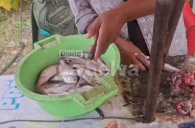 Visita el mercadillo de Pucayacu