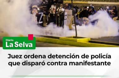 Detención preliminar para suboficial Magallanes por caso Trvko