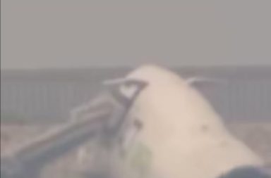 Accidente aéreo en Hong Kong deja dos fallecidos