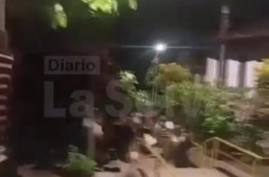 Menor pierde la vida tras presunto ataque de su padrastro en Yurimaguas