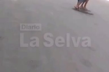 Menor es atacada por abejas en la calle Loreto