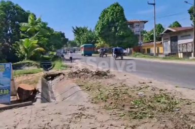 Lamentable tala de árboles en la carretera Iquitos–Nauta km 1