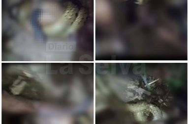 Anaconda acaba con la vida de un comunero en Loreto