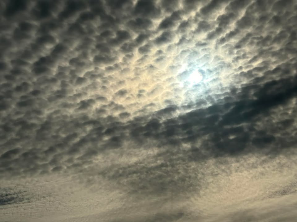 #clima | Así está el cielo de Iquitos a esta hora y aunque pareciera que el sol se apoderará de todo, los pronósticos dicen que no. Que será un día nublado aunque caluroso, pero si con vientos de hasta 10km por hora.