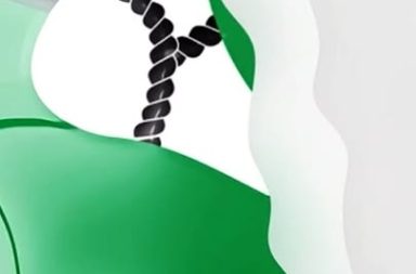 Con una voz potente y un carisma único, Lucía de la Cruz encendió el escenario del Club Tenis en la celebración del Día de la Canción Criolla .