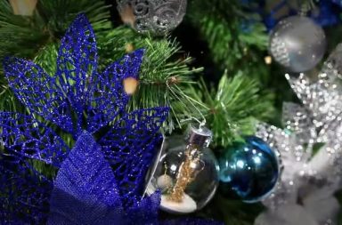 Panetón Pinasco volvió con ese sabor que conquistó a toda la Amazonía . El más aceptado, el más buscado y el que dejó huella la temporada pasada… hoy regresa para enamorarte otra vez con su textura suave, aroma irresistible y ese gusto inigualable que lo convierte en el favorito de Loreto.