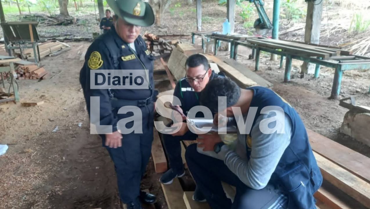 Intervienen más de 70 m³ de madera ilegal en Mazán