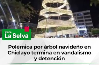 Influencer detenido luego de apagar y dañar instalación municipal