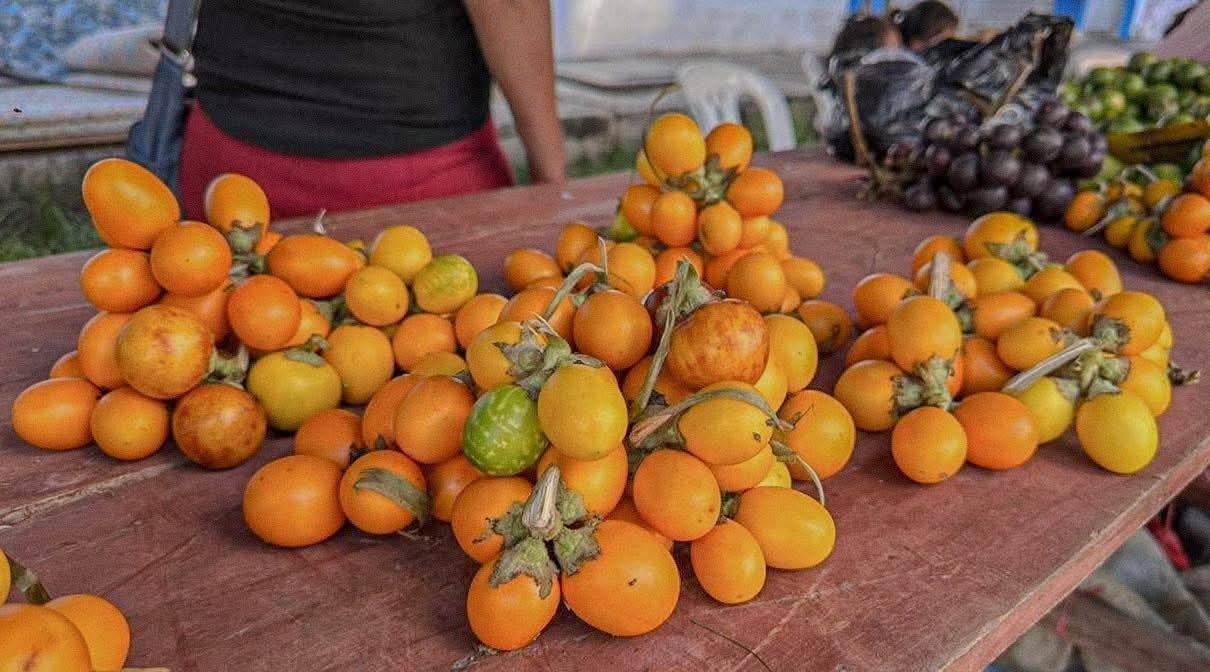 AGROFERIA NAVIDEÑA SE REALIZA CON ÉXITO EN IQUITOS