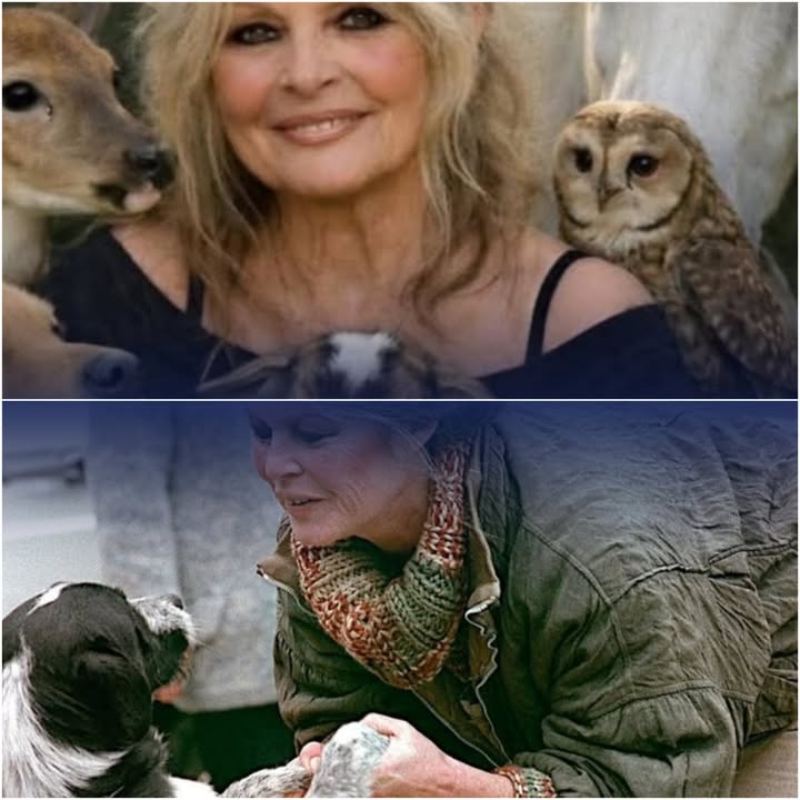 La herencia millonaria de Brigitte Bardot será destinada a la protección animal