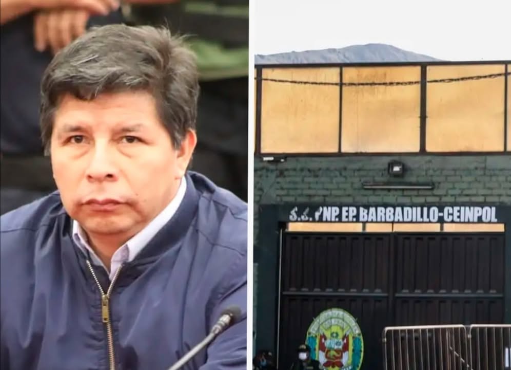 Pedro Castillo presenta denuncia penal contra jefa del INPE y otros funcionarios