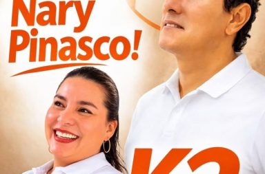 Apoyo a Nary Pinasco Diputada 2026 porque es una mujer derecha con...