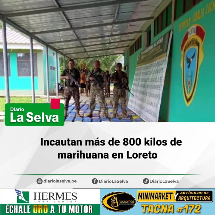Incautan más de 800 kilos de marihuana en Loreto - Diario La Selva