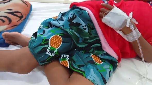 Menor de 10 años lucha por recuperarse tras ataque de serpiente en Mazán.