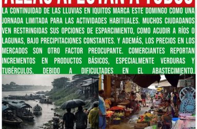 Portada LA SELVA 29•03•2026‼