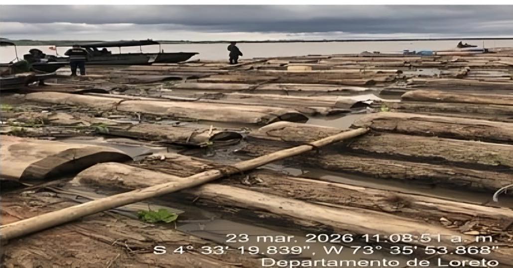 Incautan 62 trozas de madera en operativo fluvial en el río Marañón.