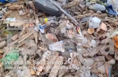 DIARIO LA SELVA #FEEG2026