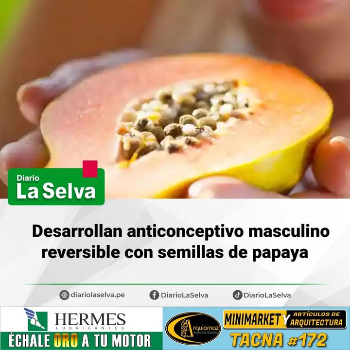 Innovación: crean anticonceptivo masculino a base de papaya