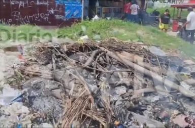 DIARIO LA SELVA #FEEG2026