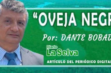 Propuestas insólitas