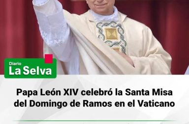Papa León XIV celebró la Santa Misa del Domingo de Ramos en el Vaticano