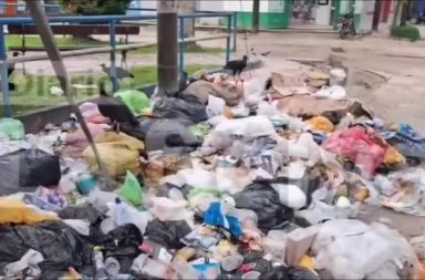 DIARIO LA SELVA #FEEG2026