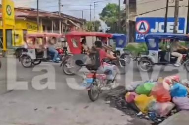 DIARIO LA SELVA #FEEG2026