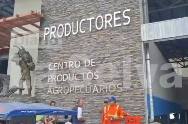 DIARIO LA SELVA #FEEG2026