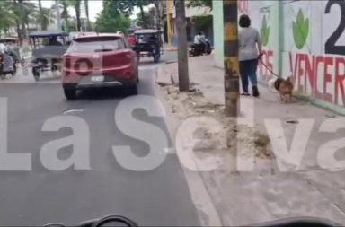 DIARIO LA SELVA #FEEG2026