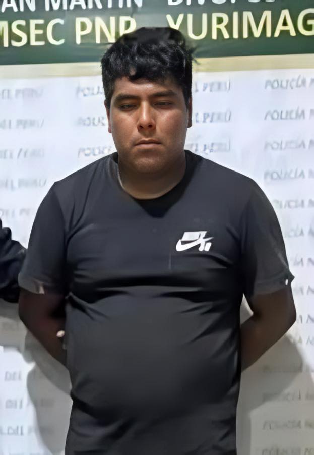 Incautan más de 100 kg de carne de lagarto en operativo en Yurimaguas.
