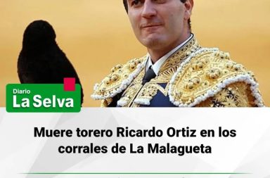 Tragedia en la plaza de La Malagueta