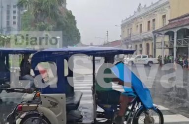 DIARIO LA SELVA #FEEG2026