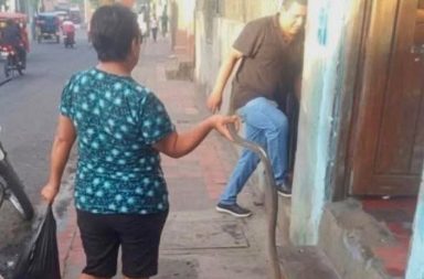 ¡Por andar tomando en Viernes Santo, su mamá le castigó con la cáscara de guaba!