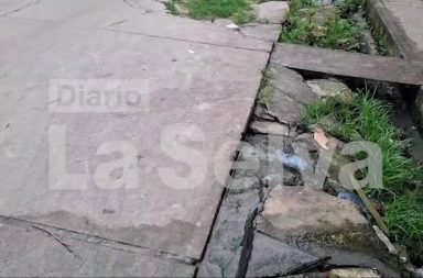 DIARIO LA SELVA #FEEG2026