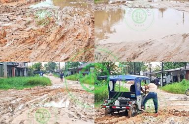 Carretera de Pucayacu en mal estado tras lluvias.