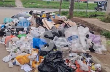 DIARIO LA SELVA #FEEG2026