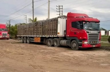 Incautan más de 37 mil pies tablares de madera en la carretera Yurimaguas–Tarapoto.