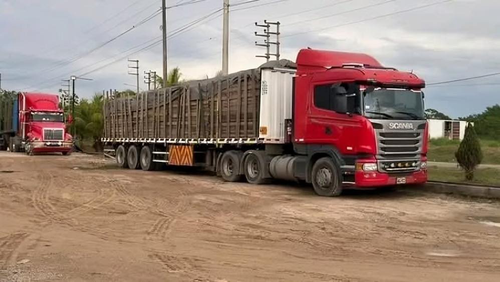 Incautan más de 37 mil pies tablares de madera en la carretera Yurimaguas–Tarapoto.